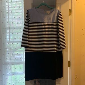 Ann Taylor Striped Dress
